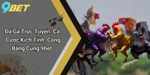 Đá Gà Trực Tuyến: Cá Cược Kịch Tính, Công Bằng Cùng 9bet
