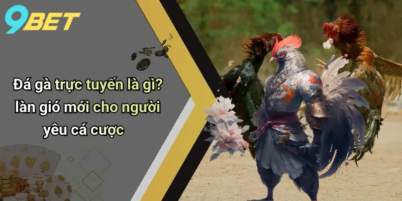 Đá gà trực tuyến là gì? làn gió mới cho người yêu cá cược