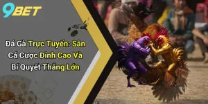 Đá Gà Trực Tuyến: Sân Cá Cược Đỉnh Cao Và Bí Quyết Thắng Lớn